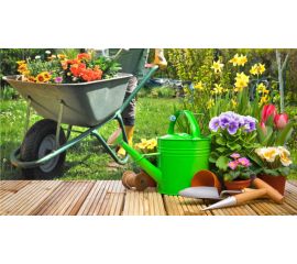 Сад, дача, огород